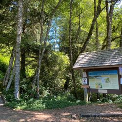Cascade Head Trail