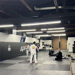 Logic Jiu Jitsu & Muay Thai