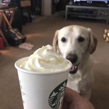 Starbucks - Coffee & Tea Near Me - Oak Lawn, Illinois Starbucks - Coffee & Tea Near Me - Oak Lawn, Illinois
