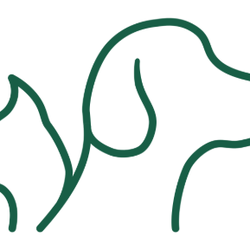All Creatures Veterinary Clinic