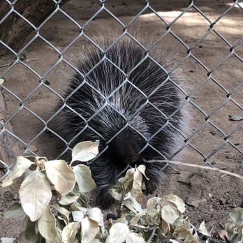 Wildlife Learning Center - Zoos Near Me - Sylmar, California