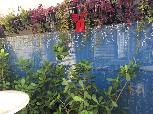 Little Room Jazz Club by null