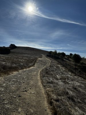 Taylor Mountain Regional Park by null