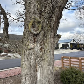 Lions Park - Parks Near Me - Zionsville, Indiana Lions Park - Parks Near Me - Zionsville, Indiana