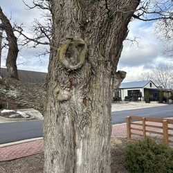Lions Park