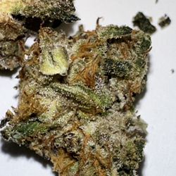 Fly High Munchies - Strain, galaxy tier 2