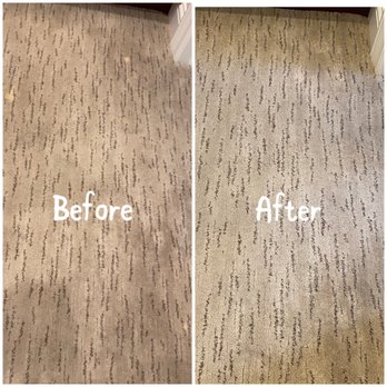 Moser Carpet Repairs - Bleach Spots Begone, - Carpeting Near Me Moser Carpet Repairs - Bleach Spots Begone, - Carpeting Near Me