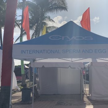 Miami Beach Gay Pride - Useful Booths ranging from free hiv tests to fertility storage info to just very very good food and miscellaneous items for sale - Festivals Near Me Miami Beach Gay Pride - Useful Booths ranging from free hiv tests to fertility storage info to just very very good food and miscellaneous items for sale - Festivals Near Me