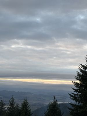 CHO Wines by null CHO Wines by null