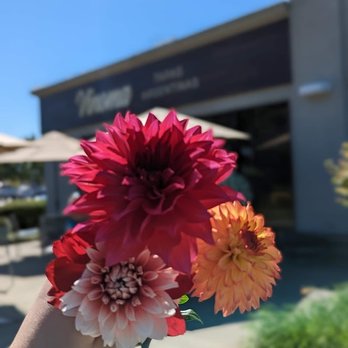 Vinoma - Empanadas Near Me - Rohnert Park, California