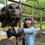 Photo of Raptor Hill Falconry