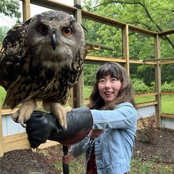 Raptor Hill Falconry