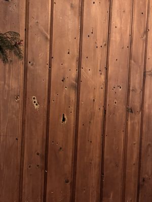 Little Bohemia Lodge by null