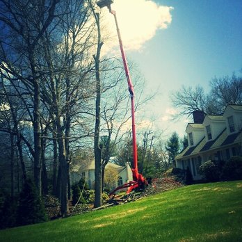 Polonski Tree Service - Tree Services Near Me - Reading, Massachusetts Polonski Tree Service - Tree Services Near Me - Reading, Massachusetts