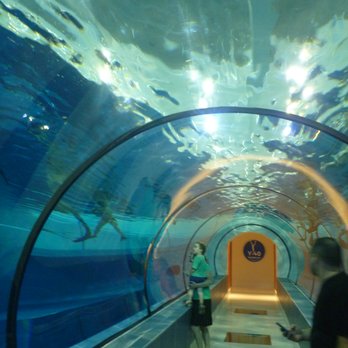 The Deep Joy - Tunnel - Scuba Diving Near Me - Montegrotto Terme, PD