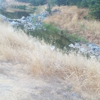Alamo Creek Park - Alongside bike path - Parks Near Me - Dublin, California Alamo Creek Park - Alongside bike path - Parks Near Me - Dublin, California