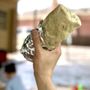 Photo of Freebirds World Burrito