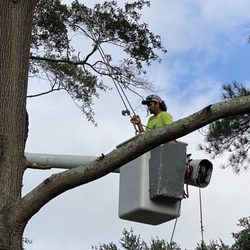 Jamez Gs Tree Service - Bucket truck removal