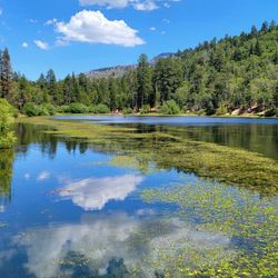 Jenks Lake,California is a terrific experience!