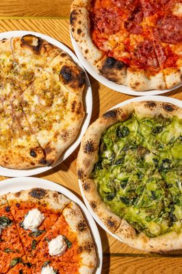 Jemma Hollywood by null