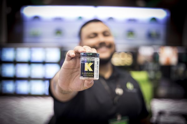 The Grove Dispensary Las Vegas by null