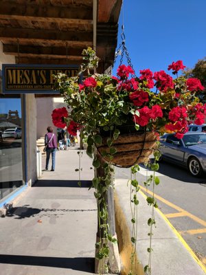 Taos Plaza by null