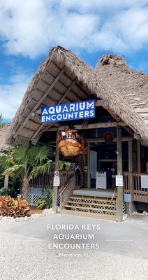 FLORIDA KEYS AQUARIUM ENCOUNTERS - 395 Photos &amp; 159 Reviews - Aquariums ...