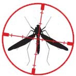 Mosquito Tek