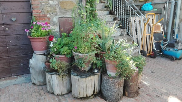 Isola Maggiore by null