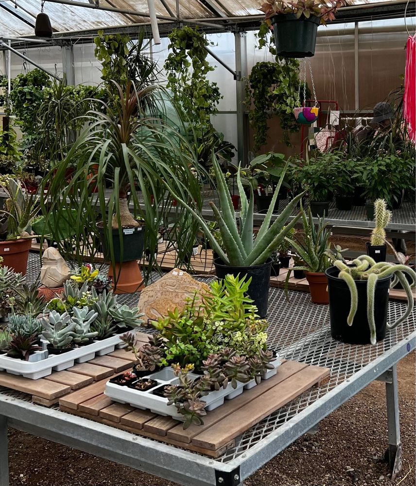 BOTANY Updated September 2024 42 Photos & 13 Reviews 6430 McGill