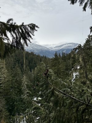 Ziptrek Ecotours by null