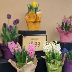 D&W Fresh Market - Nice to see some color