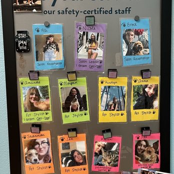PetSmart - the excellent groomers! - Pet Groomers Near Me - Lawnside, New Jersey PetSmart - the excellent groomers! - Pet Groomers Near Me - Lawnside, New Jersey
