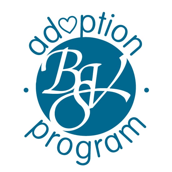 Baker Victory Services Adoption - social services organization in Lackawanna, NY