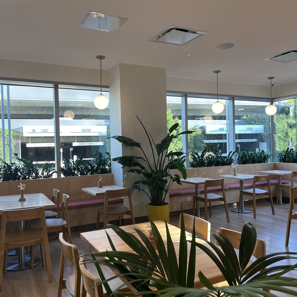 Daffodil Cafe - inside - Cafes Near Me - San Diego, California Daffodil Cafe - inside - Cafes Near Me - San Diego, California