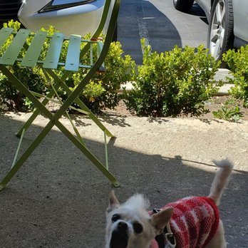 Zooza Cafe - Coffee & Tea Near Me - Westlake Village, California