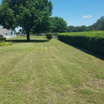 Timms Lawns and Landscaping - Nice Clean Lawn. - Landscaping Near Me - Perry, Florida Timms Lawns and Landscaping - Nice Clean Lawn. - Landscaping Near Me - Perry, Florida