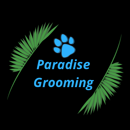 PARADISE GROOMING Updated September 2024 1107 Scandia Tr N, Forest