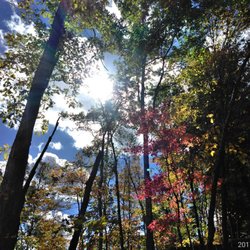 Laurel Leaf Cabins - Laurel Leaf Cabins, beautiful October 2017!