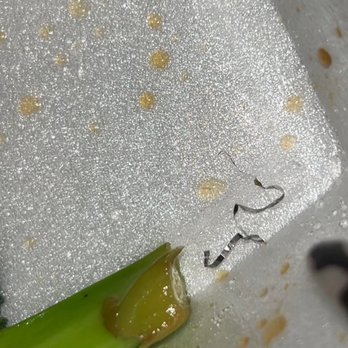 Ding Ho Kitchen - Metal Fiber - Chinese Near Me - Fresno, California