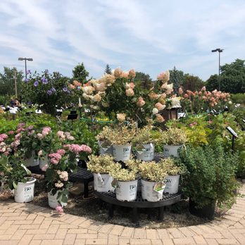 Platt Hill Nursery - Nurseries & Gardening Near Me - Bloomingdale, Illinois