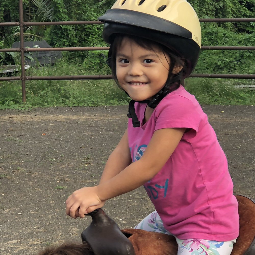Aloha Riding Lessons - Horseback Riding Near Me - Honolulu, Hawaii Aloha Riding Lessons - Horseback Riding Near Me - Honolulu, Hawaii