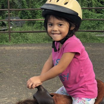 Aloha Riding Lessons - Horseback Riding Near Me - Honolulu, Hawaii Aloha Riding Lessons - Horseback Riding Near Me - Honolulu, Hawaii