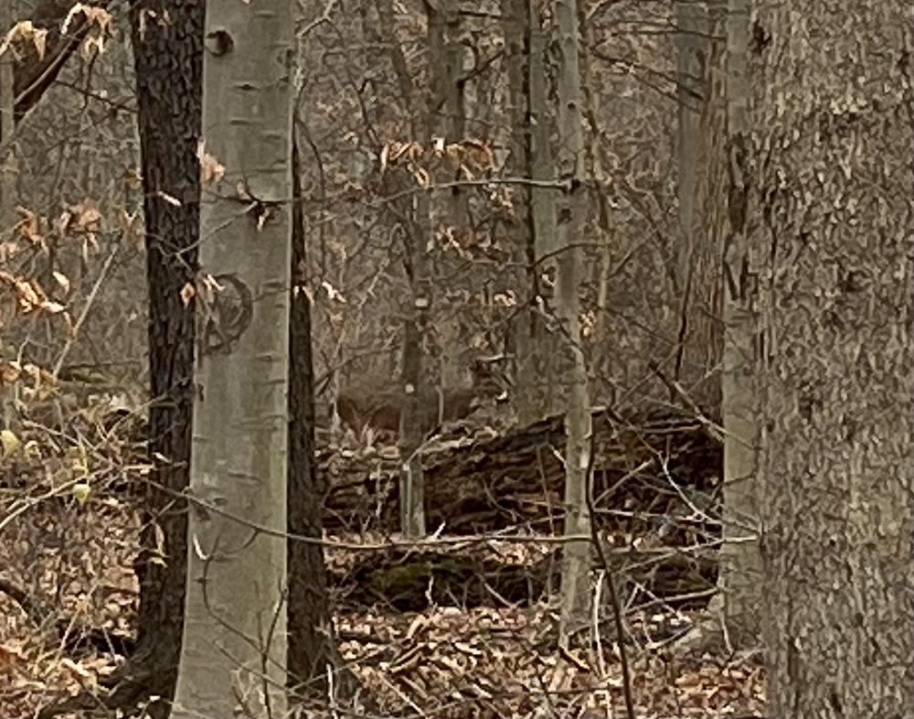 BLACKLICK WOODS METRO PARK AND GOLF COURSES Updated June 2024 126