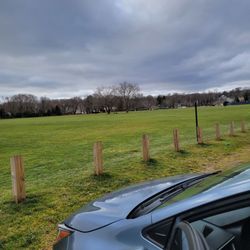 Wilson Park