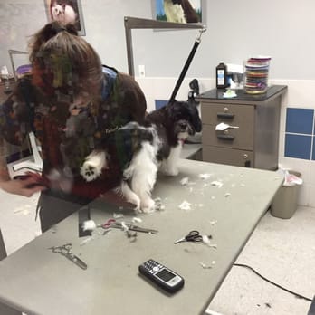 Petco - Pet Training Near Me - North Aurora, Illinois