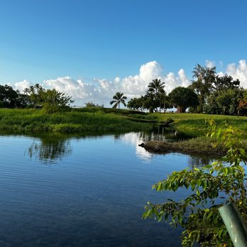 Ponds Hilo - Hawaiian Near Me - Hilo, Hawaii Ponds Hilo - Hawaiian Near Me - Hilo, Hawaii