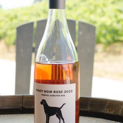 Black Dog Vineyard