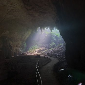 Parque Nacional de las Cavernas del Rio Camuy - What am amazing view. - Parks Near Me - Quebrada, Puerto Rico