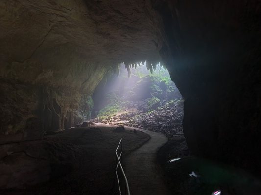 Parque Nacional de las Cavernas del Río Camuy by null